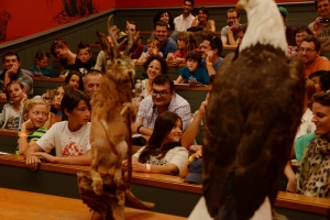 BD_FIL_PhPache2014_8170