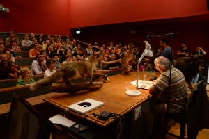 BD_FIL_PhPache2014_8189