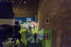 bd-fil-2014-©-mano-4693